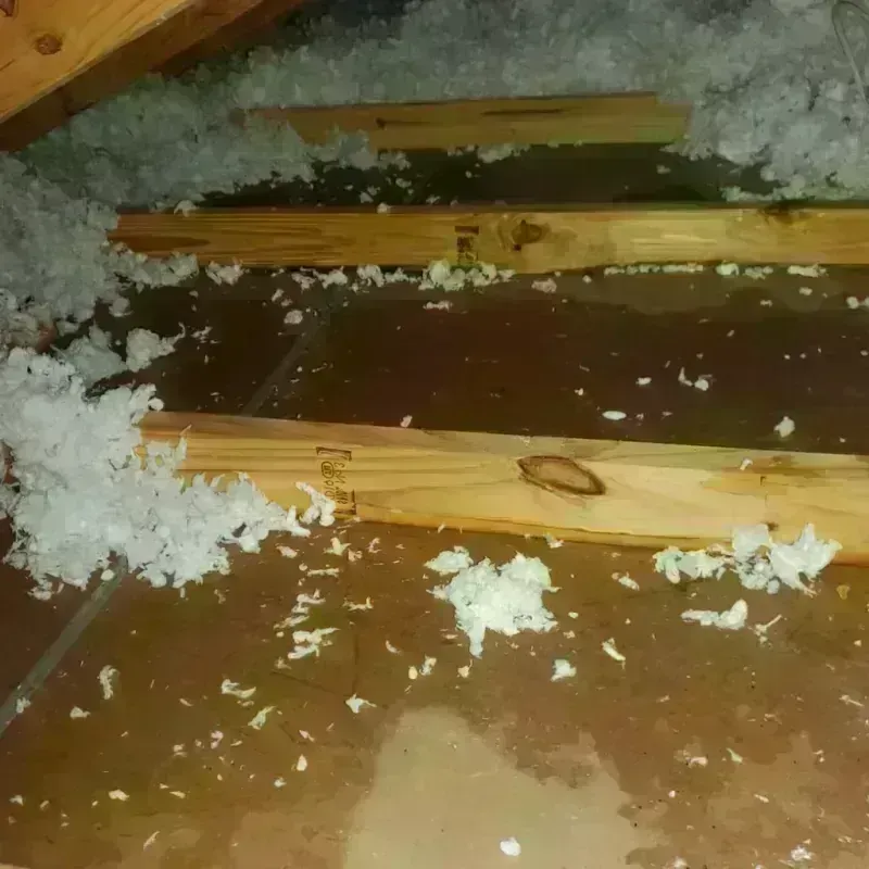 Attic Water Damage in Signal Hill, CA